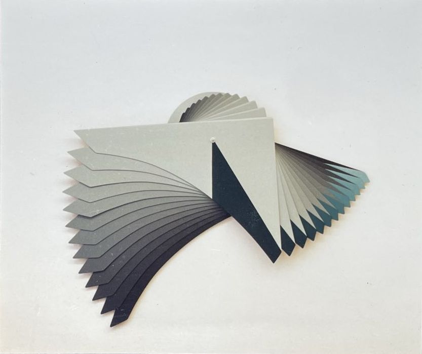 L'oiseau fugueur 02