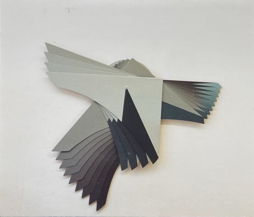 L'oiseau fugueur 05