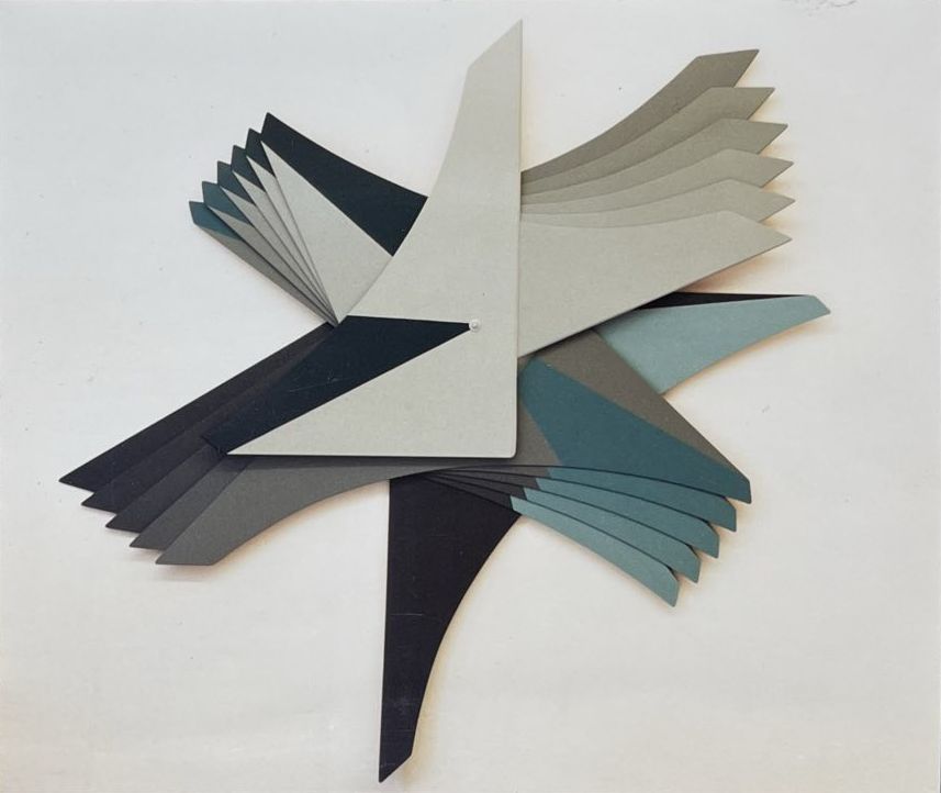L'oiseau fugueur 07